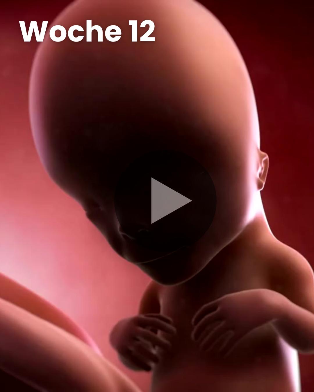 3D-Video des Kindes: Woche 12
