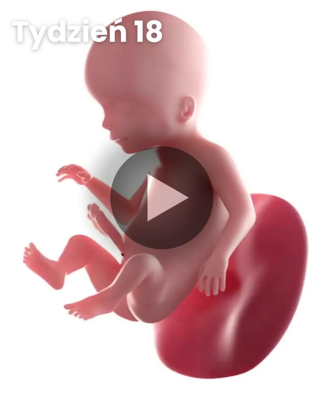 Wideo 3D dziecka: Tydzień 18