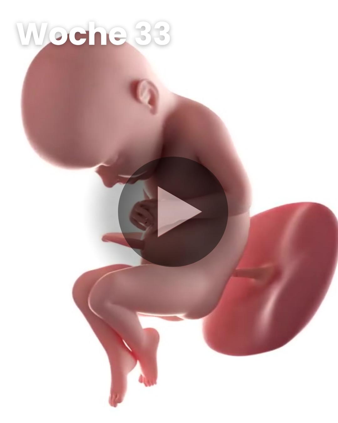 3D-Video des Kindes: Woche 33
