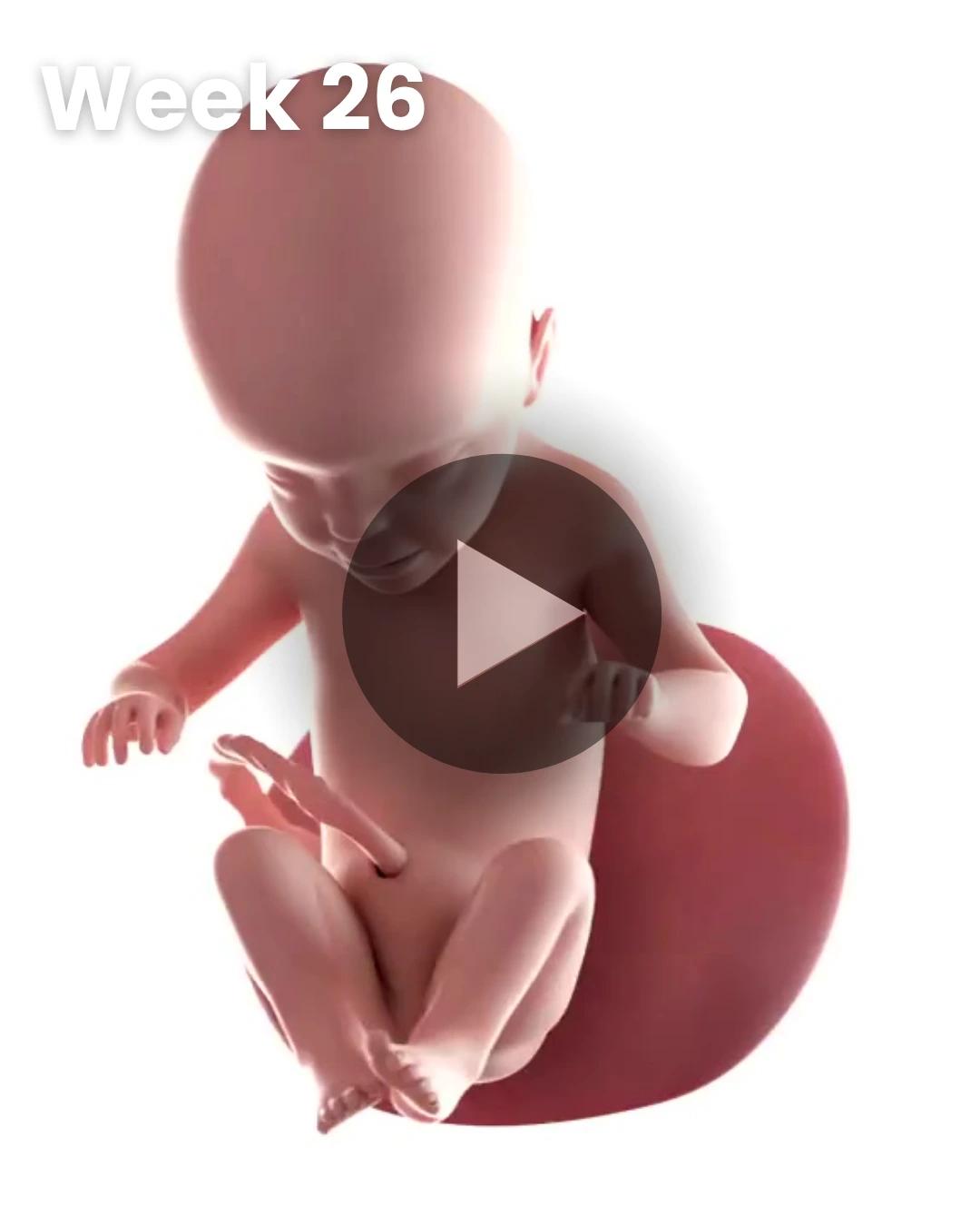 3D video baby update: Week 26