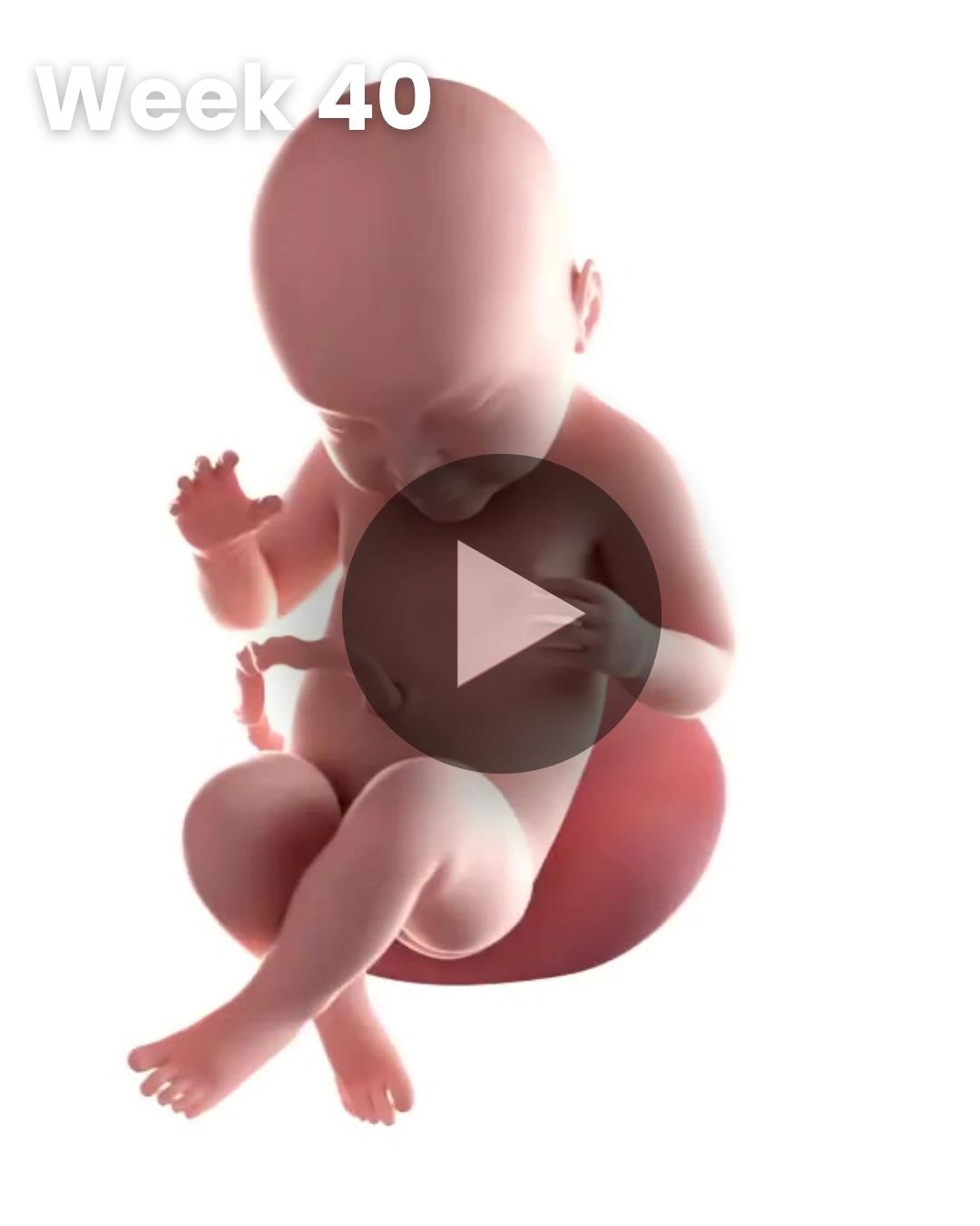3D video baby update: Week 40