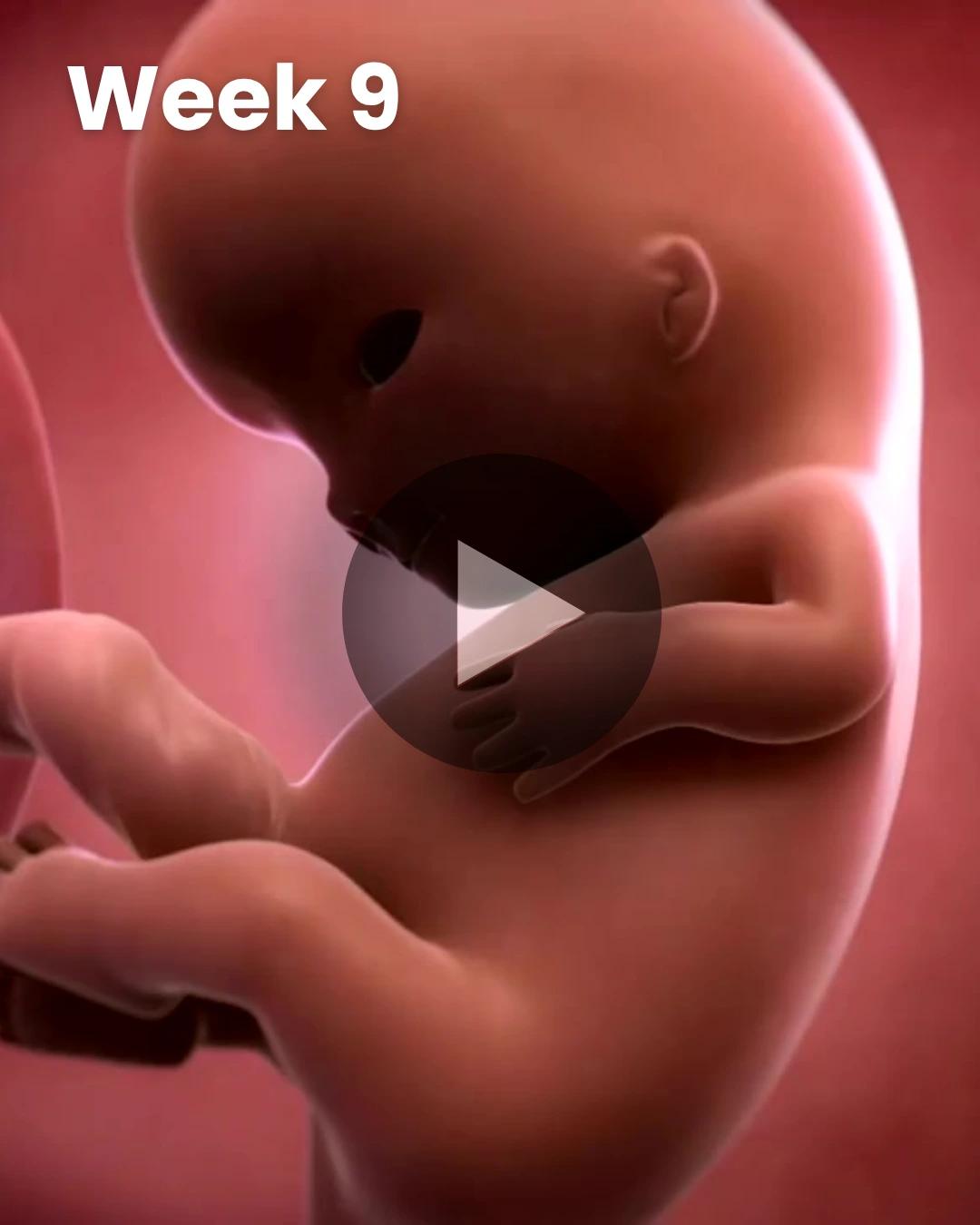3D video baby update: Week 9