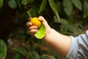 Was sollte man in der Schwangerschaft essen? Lebensmittelliste