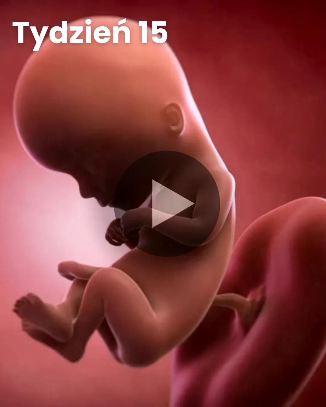 Wideo 3D dziecka: Tydzień 15