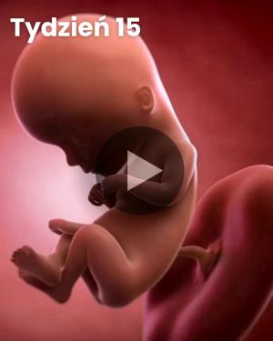 Wideo 3D dziecka: Tydzień 15