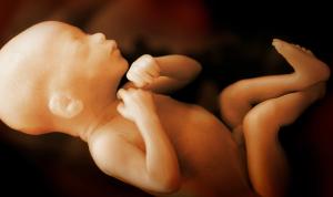 Your baby is growing at lightning speed! 