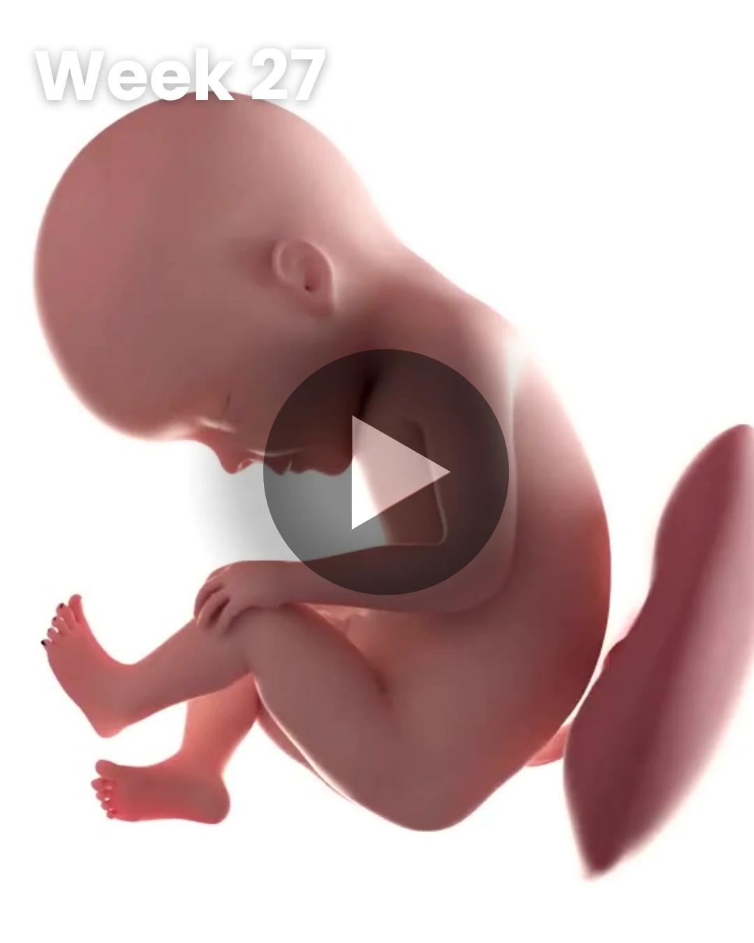 3D video baby update: Week 27