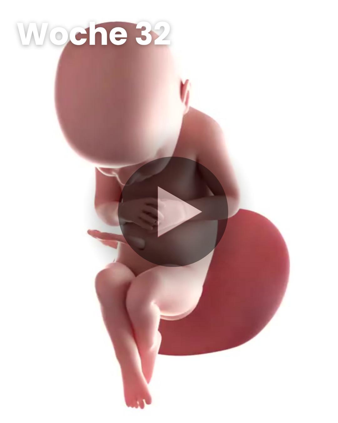 3D-Video des Kindes: Woche 32