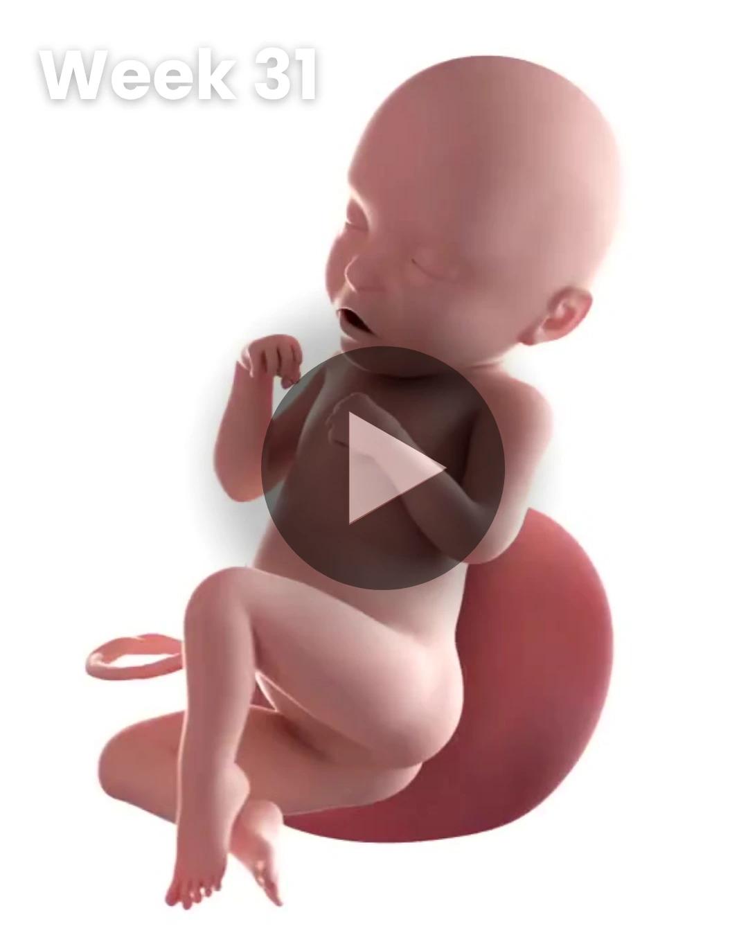 3D video baby update: Week 31