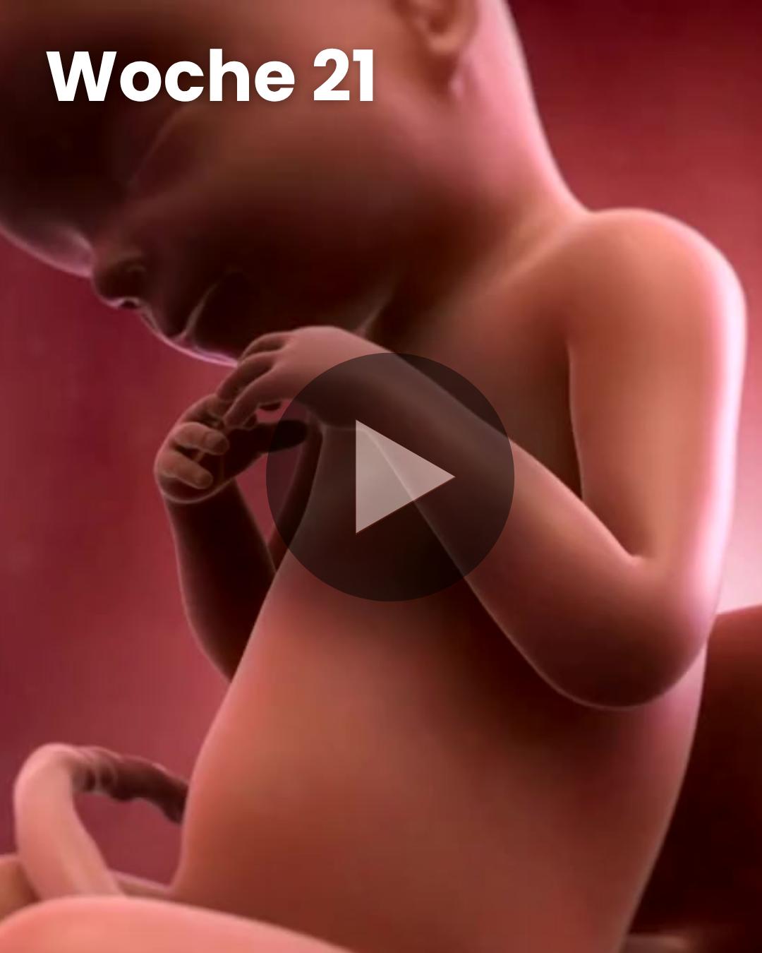 3D-Video des Kindes: Woche 21