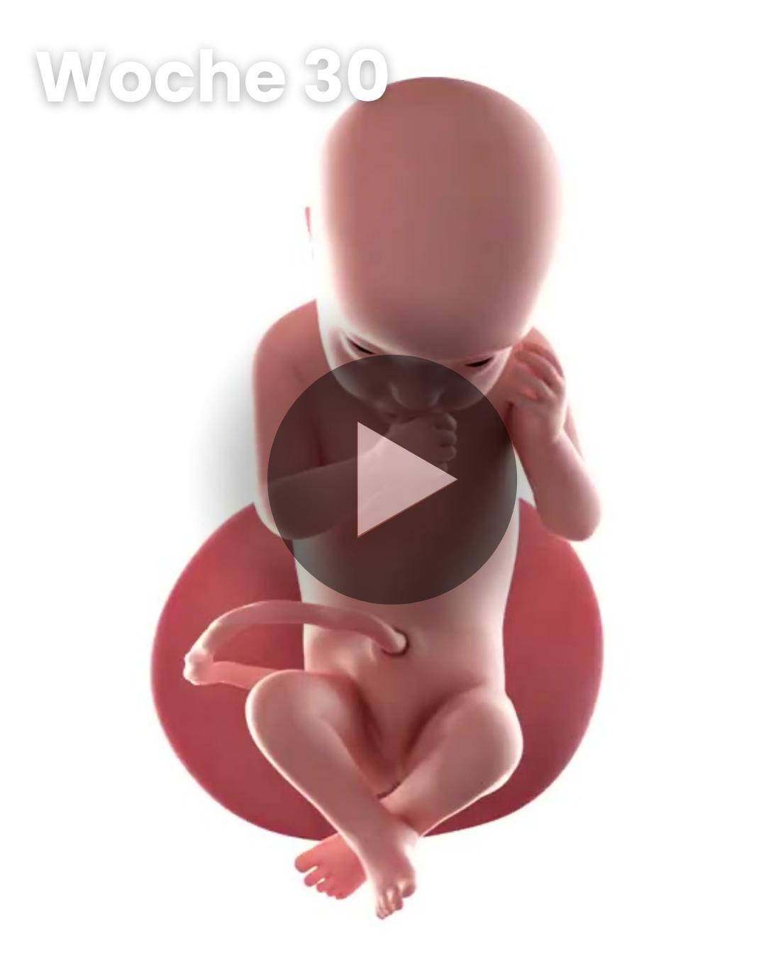 3D-Video des Kindes: Woche 30