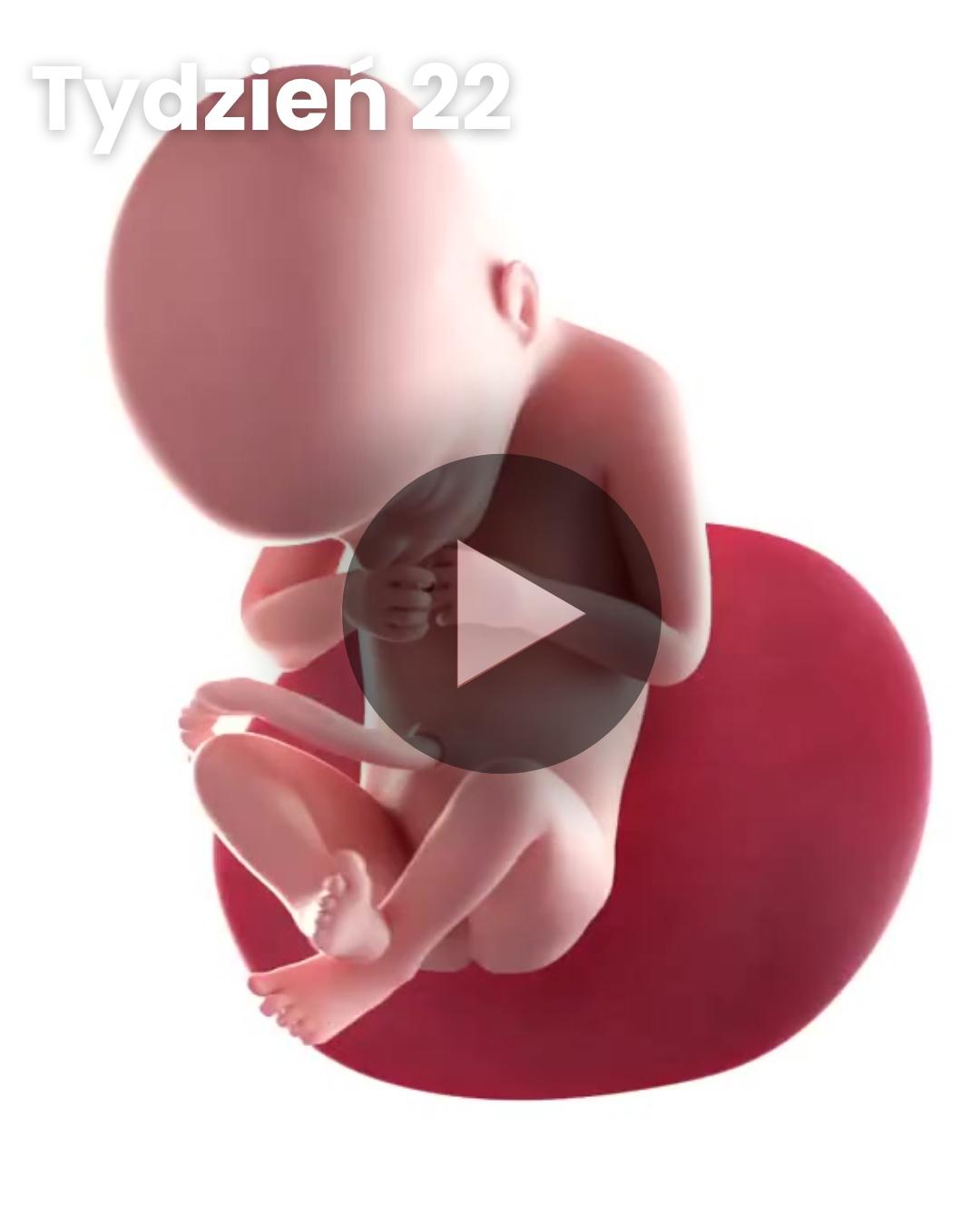 Wideo 3D dziecka: Tydzień 22