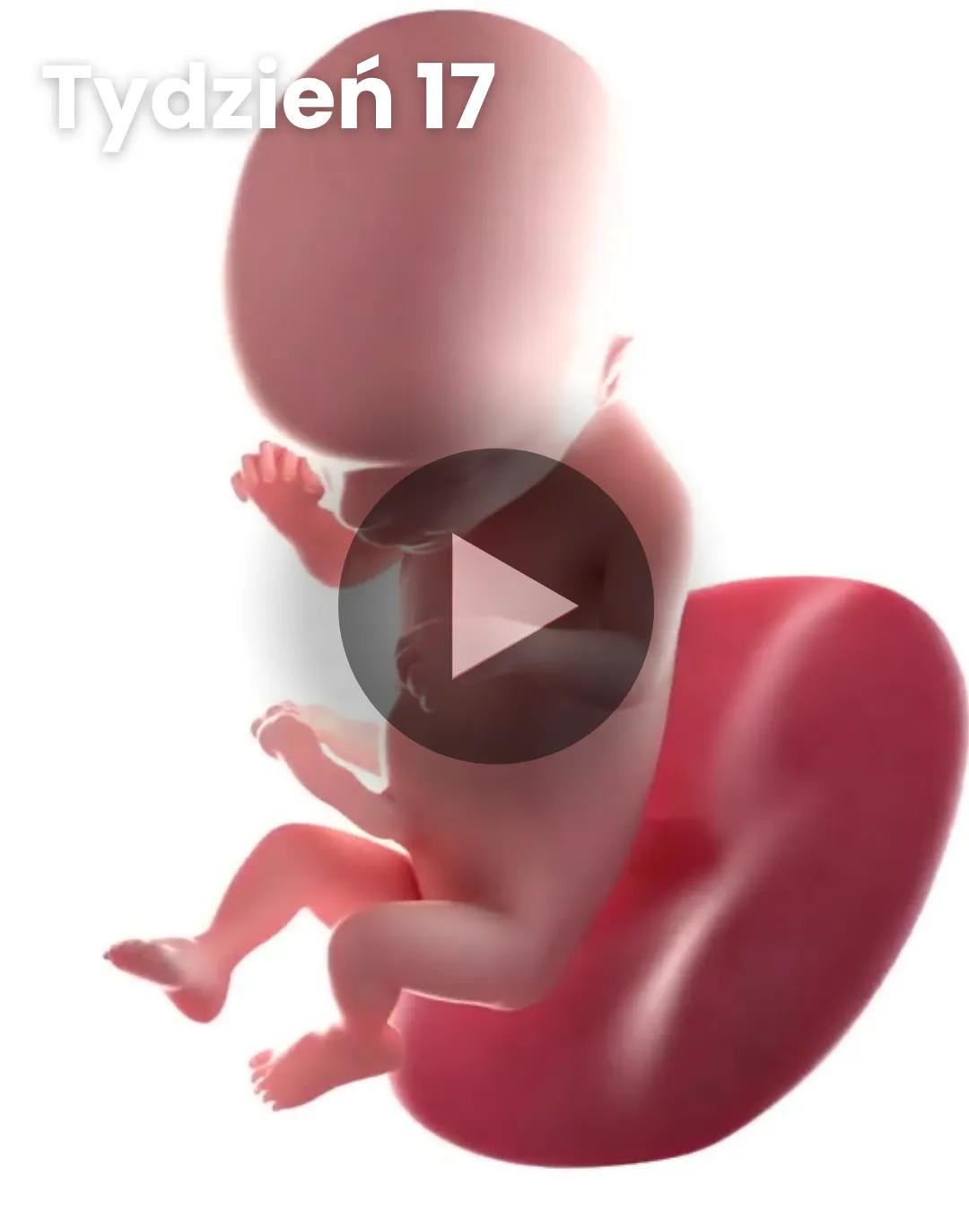 Wideo 3D dziecka: Tydzień 17