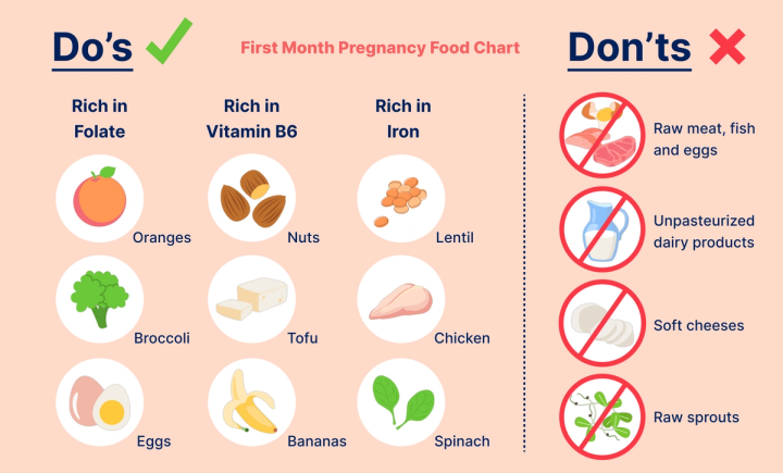 Ernährungsplan für den ersten Monat der Schwangerschaft