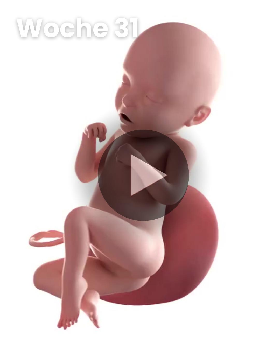 3D-Video des Kindes: Woche 31
