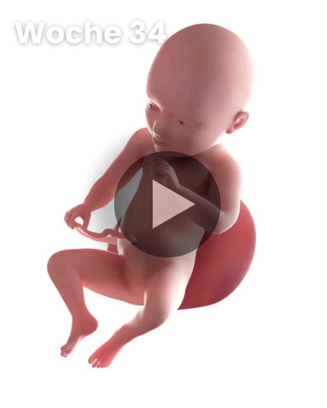 3D-Video des Kindes: Woche 34