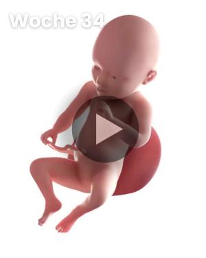 3D-Video des Kindes: Woche 34