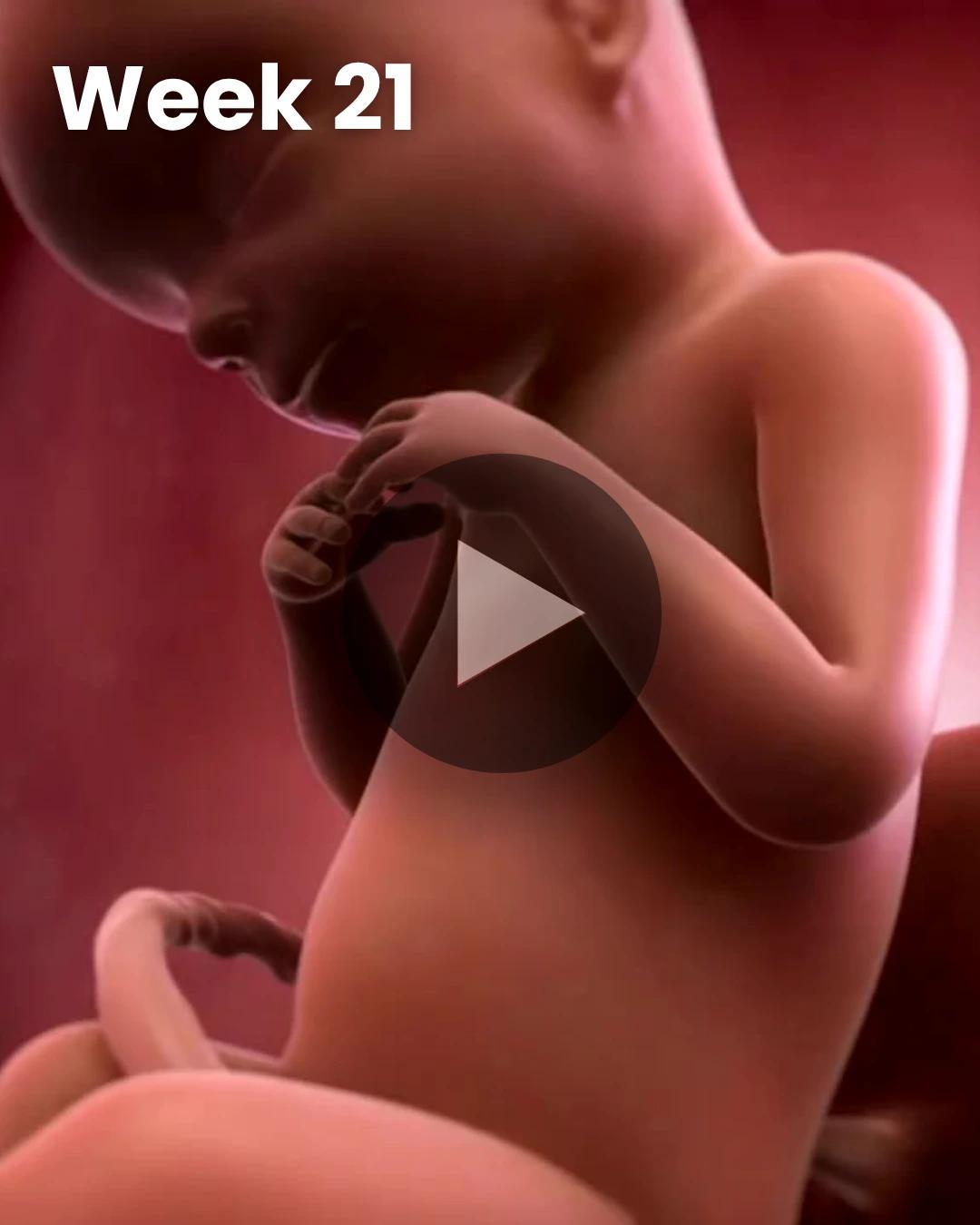 3D video baby update: Week 21