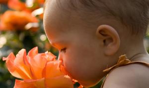Die Macht des Geruchssinns: Wie Babys ihre Eltern erkennen
