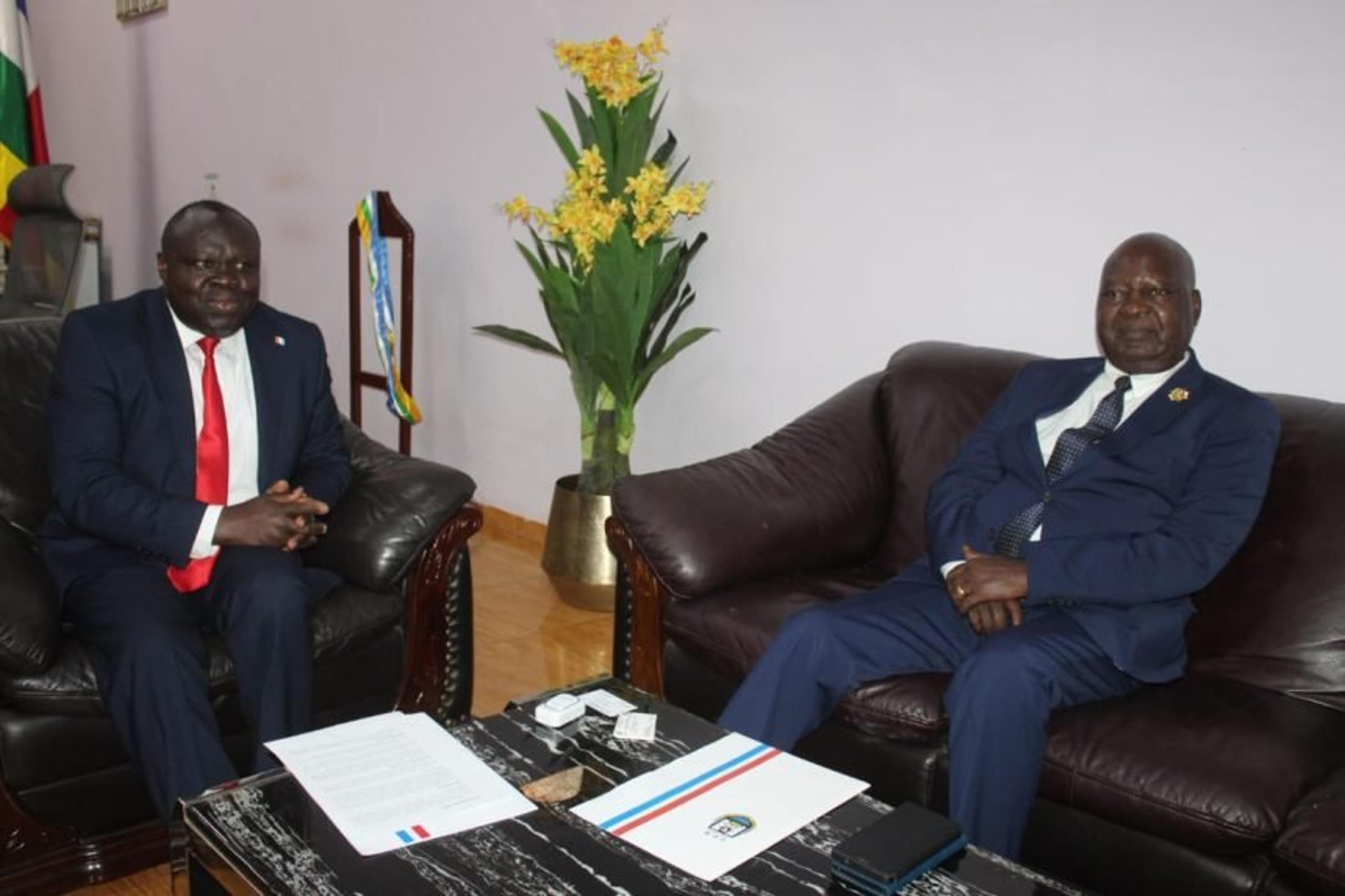 RPF Secretary General Holds Talks with CAR Ruling Party to Boost Cooperation