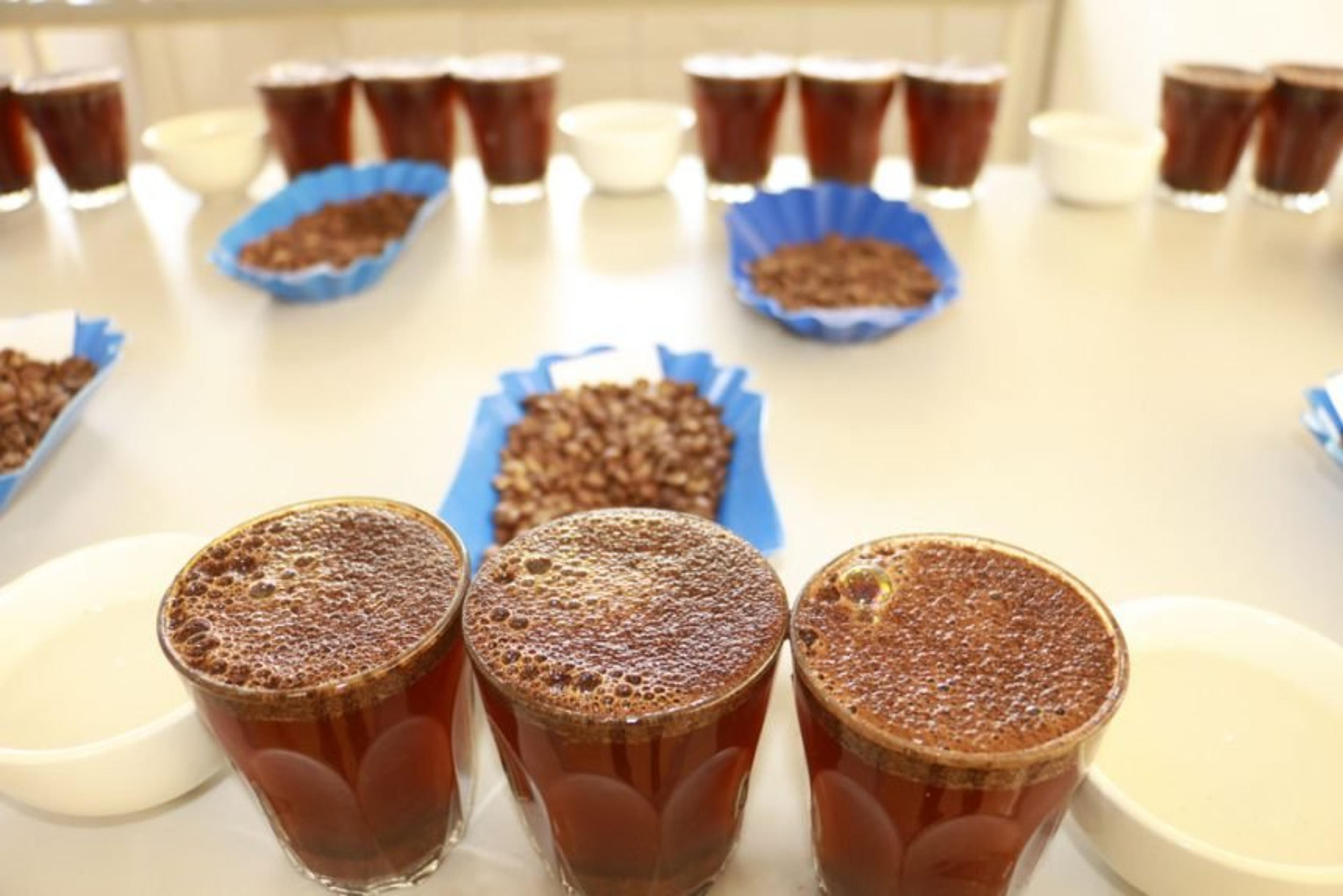 Rwanda's Coffee Lands in the Global Top Five