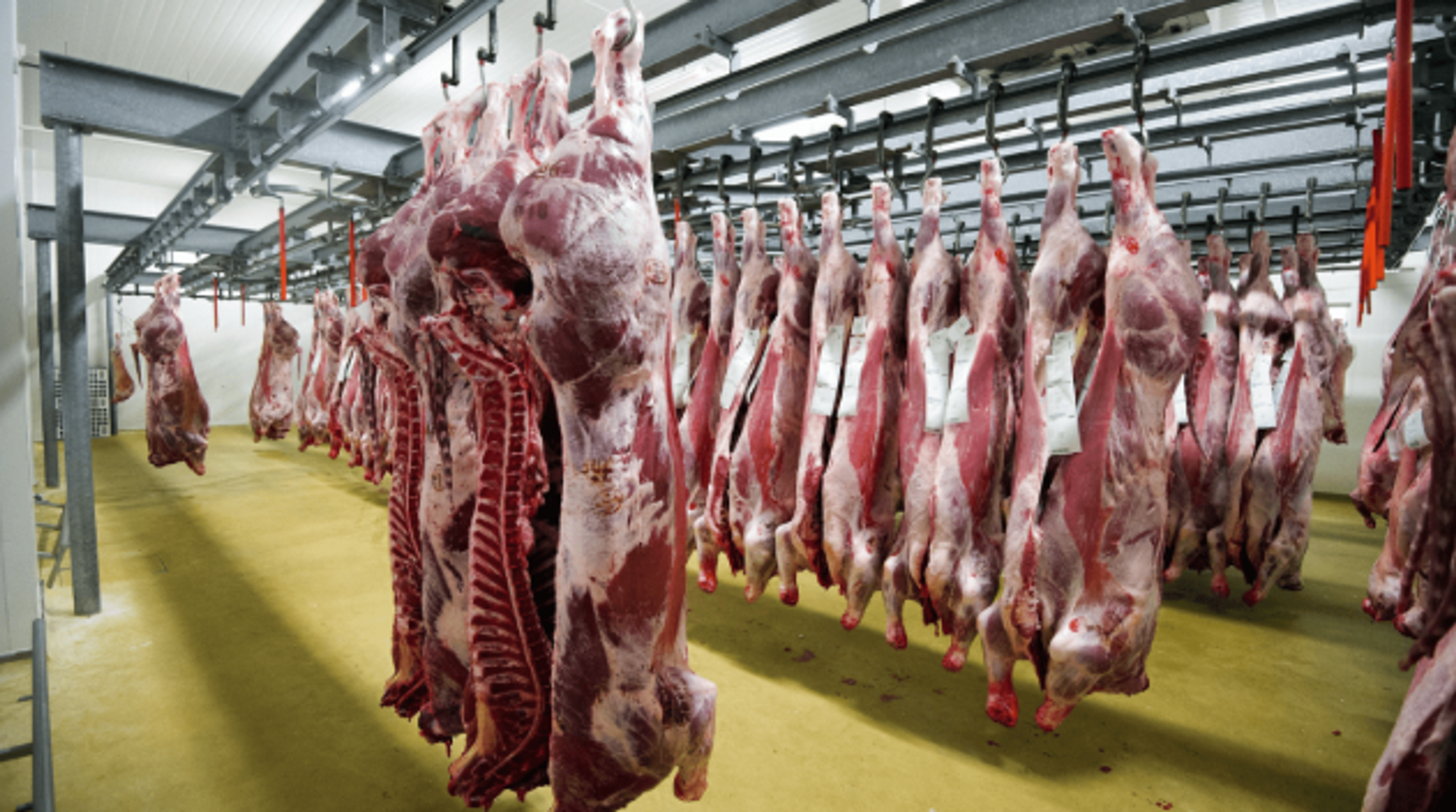 Brazilian investor takes over Gako beef plant operations