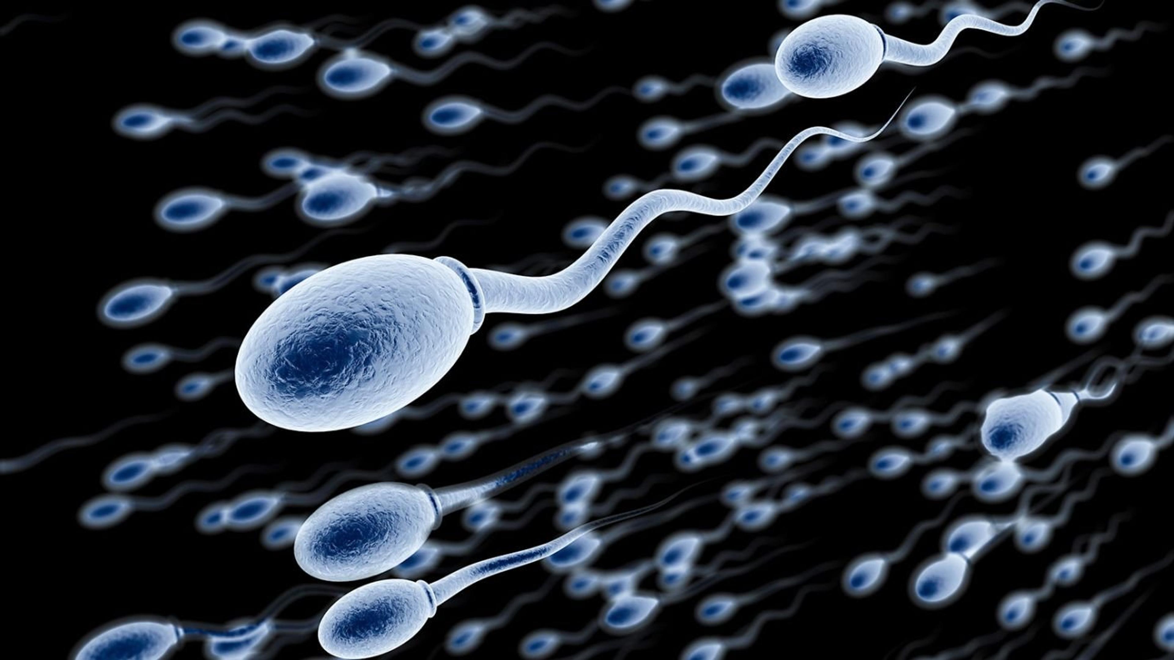 Scientists Just Cracked the Male Birth Control Puzzle. Africa's Family Planning Gap Could Be Next to Change