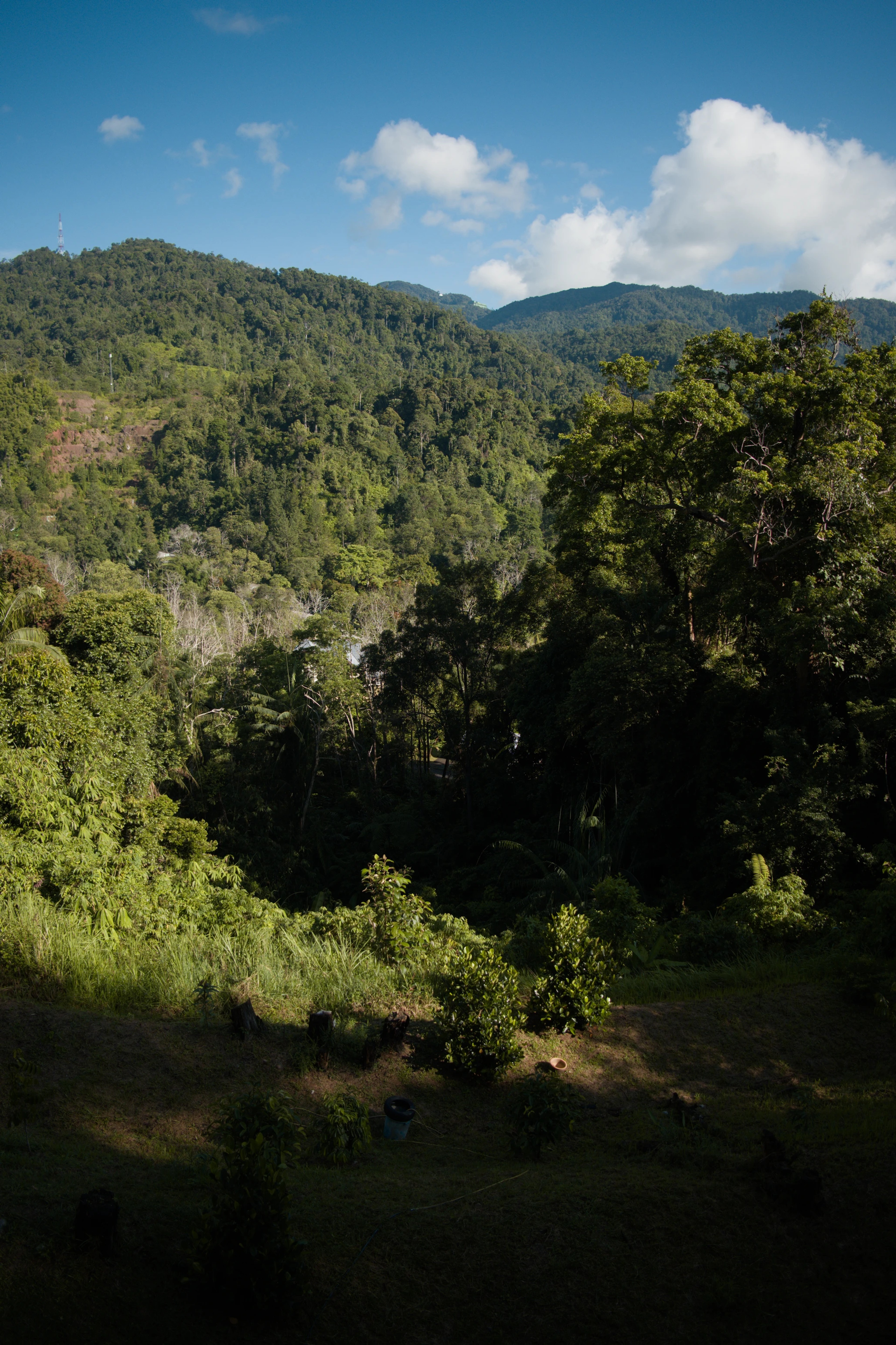 A view over the valley