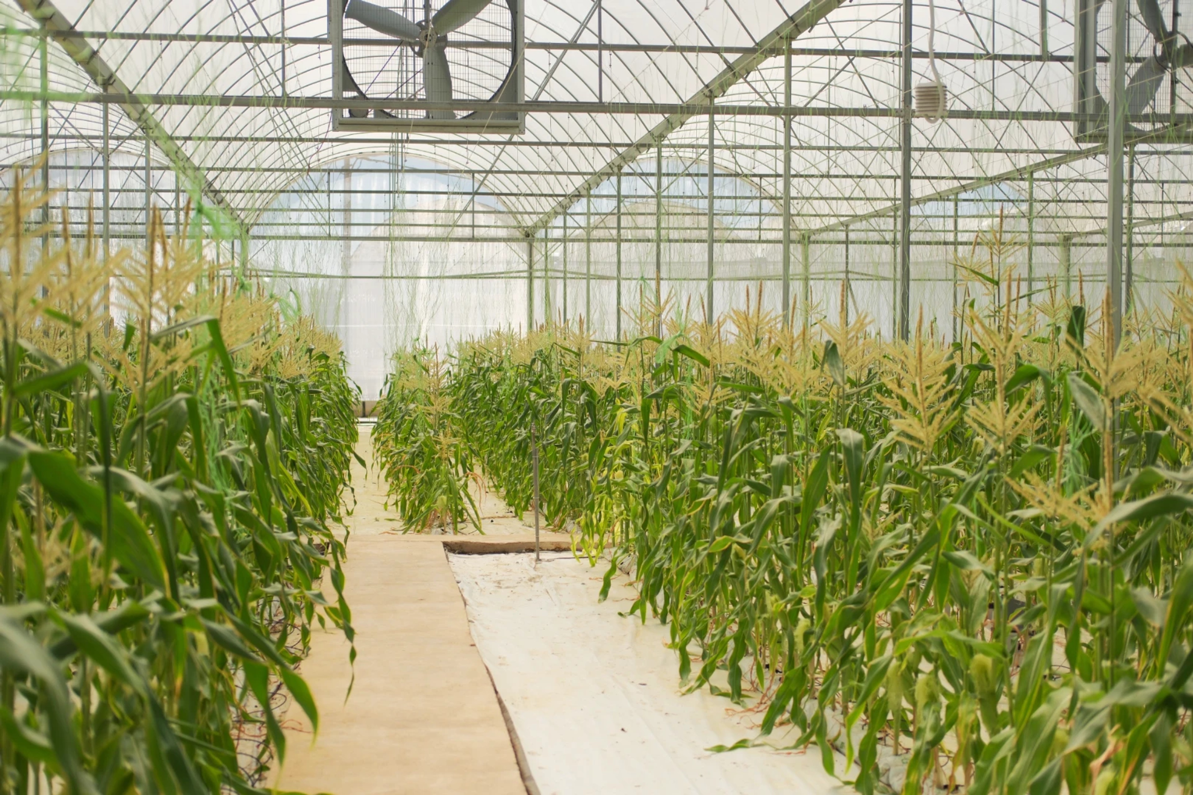 Organic Farm