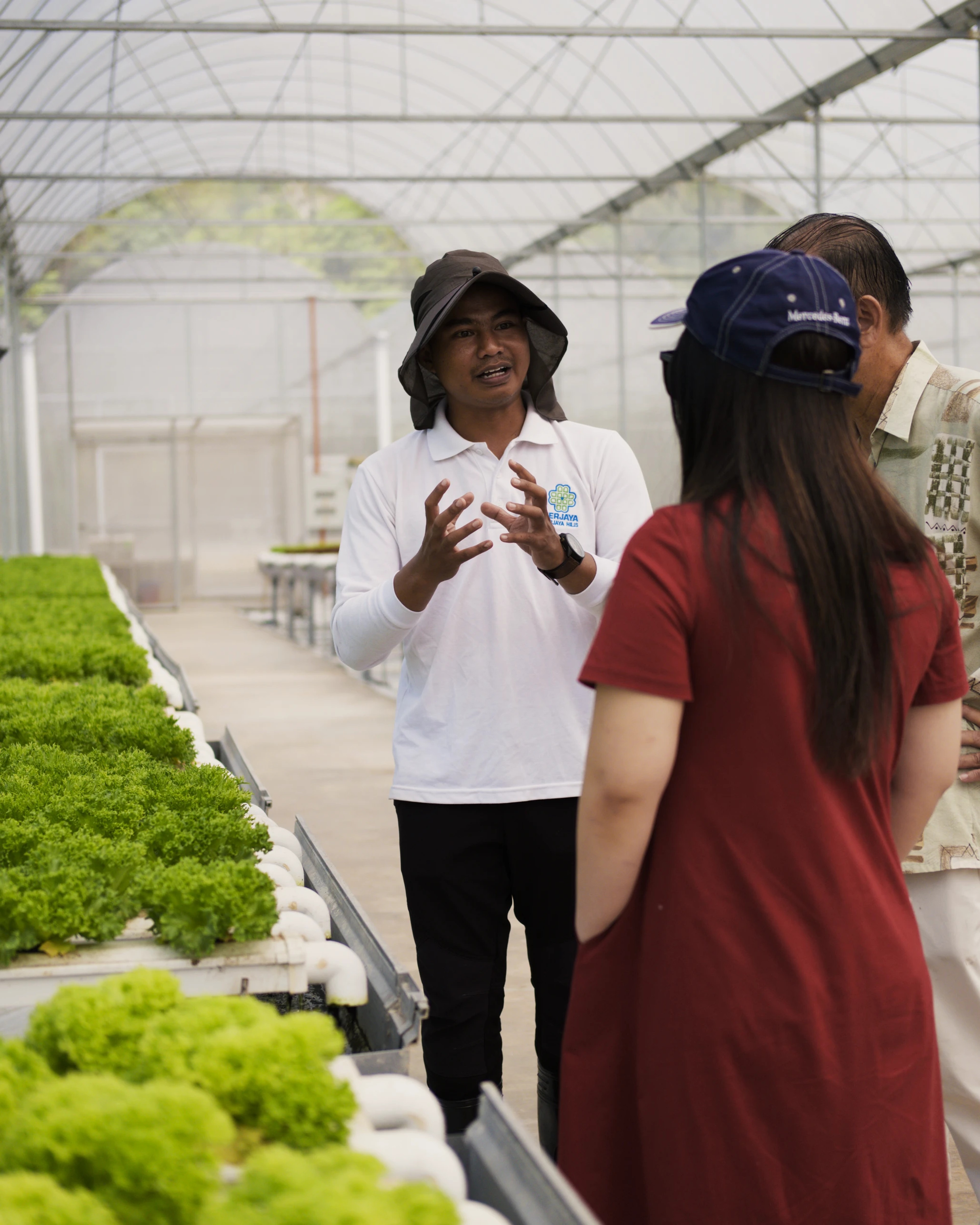A tour of the organic farm