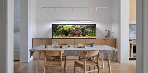 Park Slope Neo-Grec Dining Room