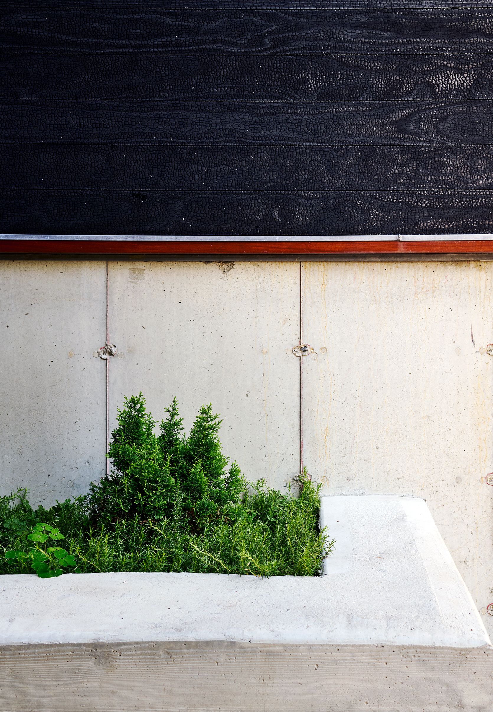 New Construction Waterfront Facade Detail