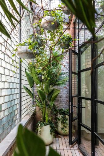 West Village Italianate Outdoor Plants