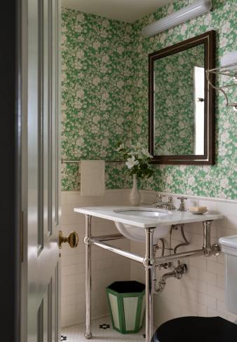 Brooklyn Heights Anglo-Italianate Powder Room