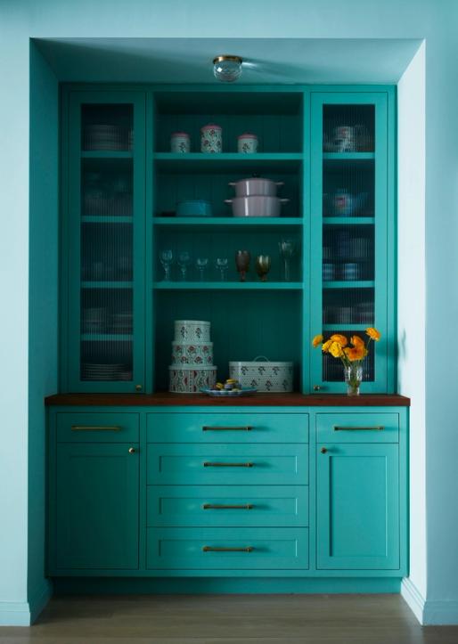 Brooklyn Heights Condominium Pantry