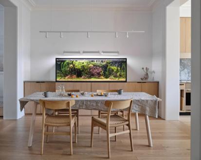 Park Slope Rowhouse Dining Room