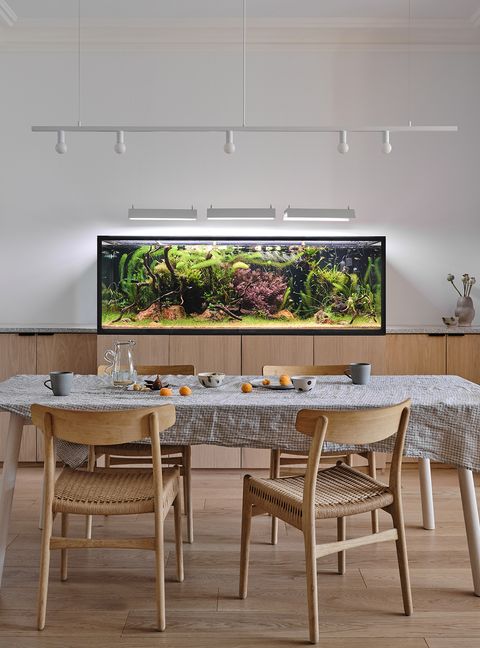 Park Slope Neo-Grec Dining Room