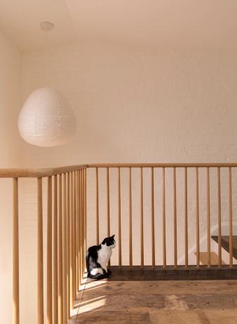 Cobble Hill Anglo-Italianate penthouse