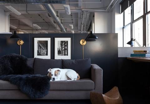 The Brooklyn Studio Couch