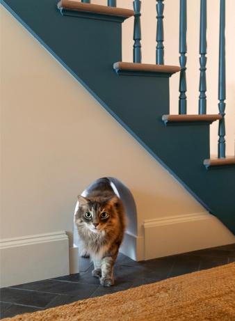 Cobble Hill Anglo-Italianate Millwork