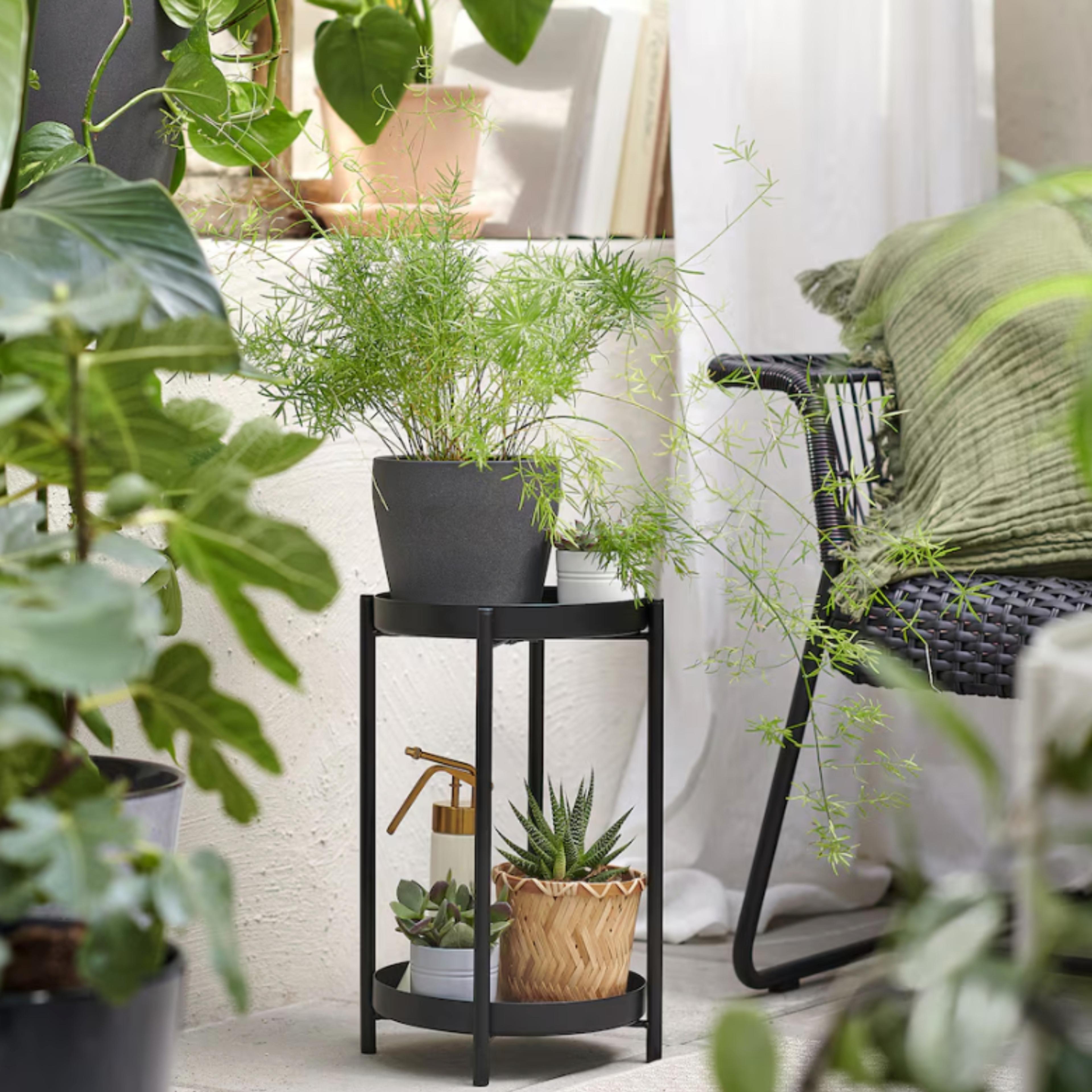 black-plant-stand