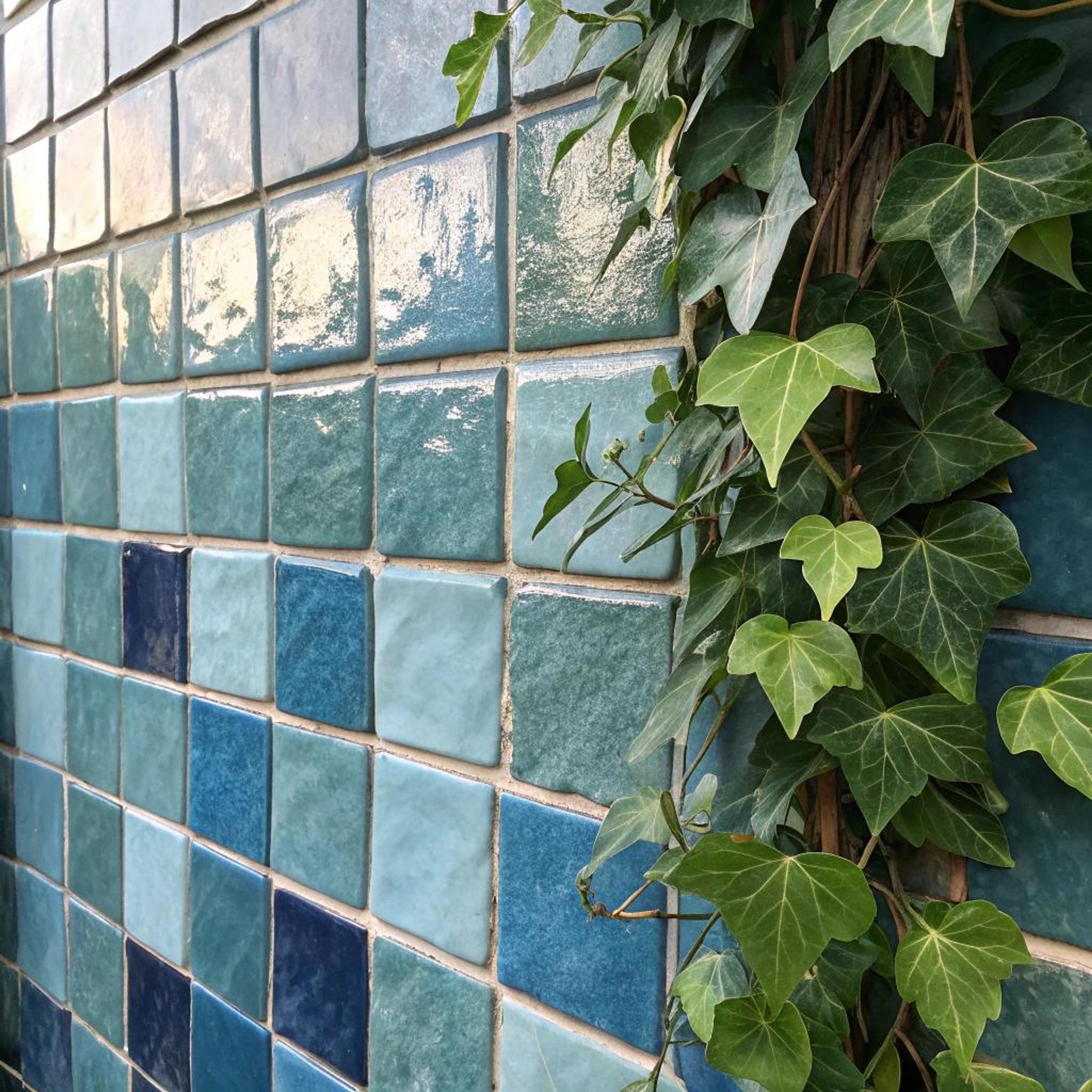 Ivy en zellige: natuurlijke harmonie