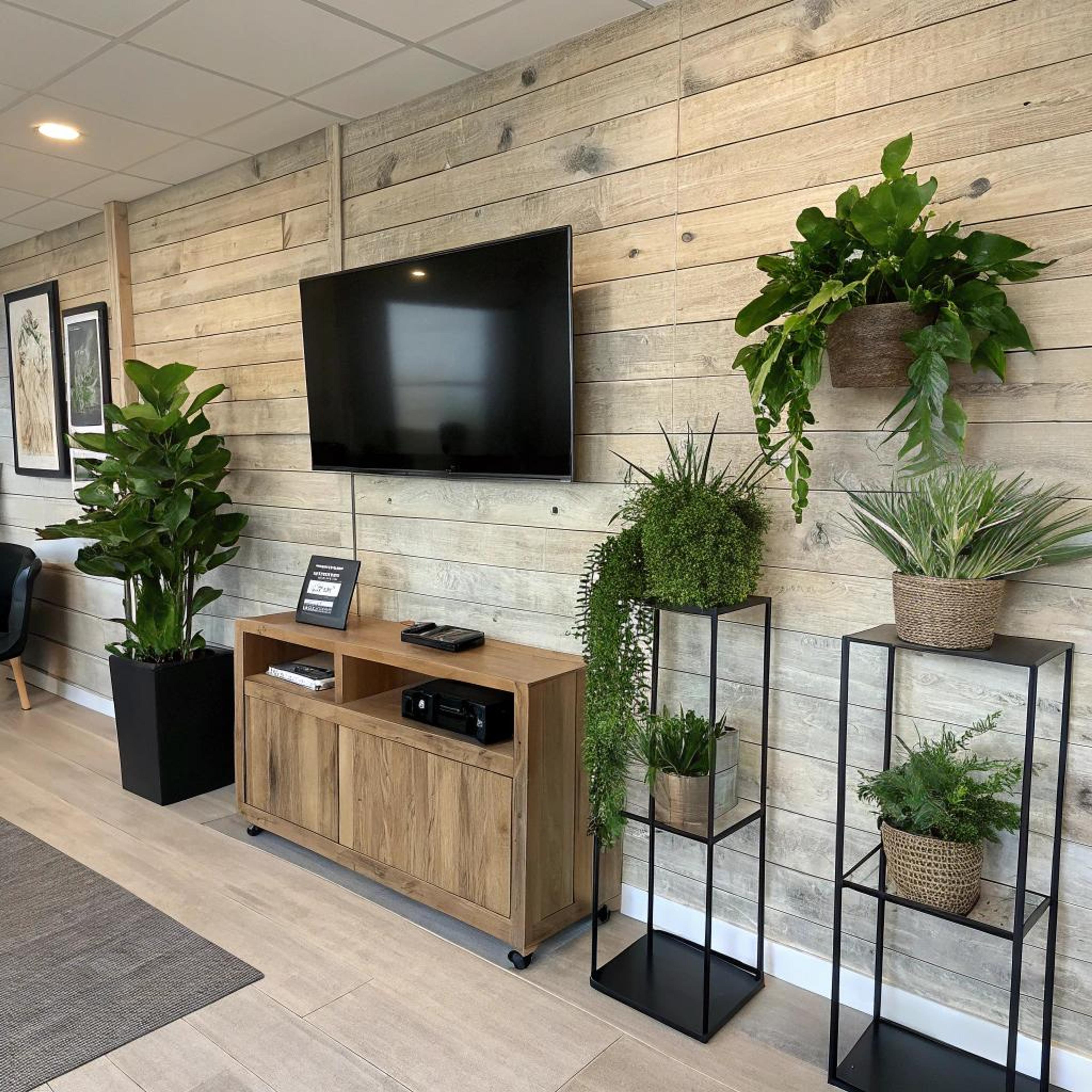 Rustieke mediawand met planten