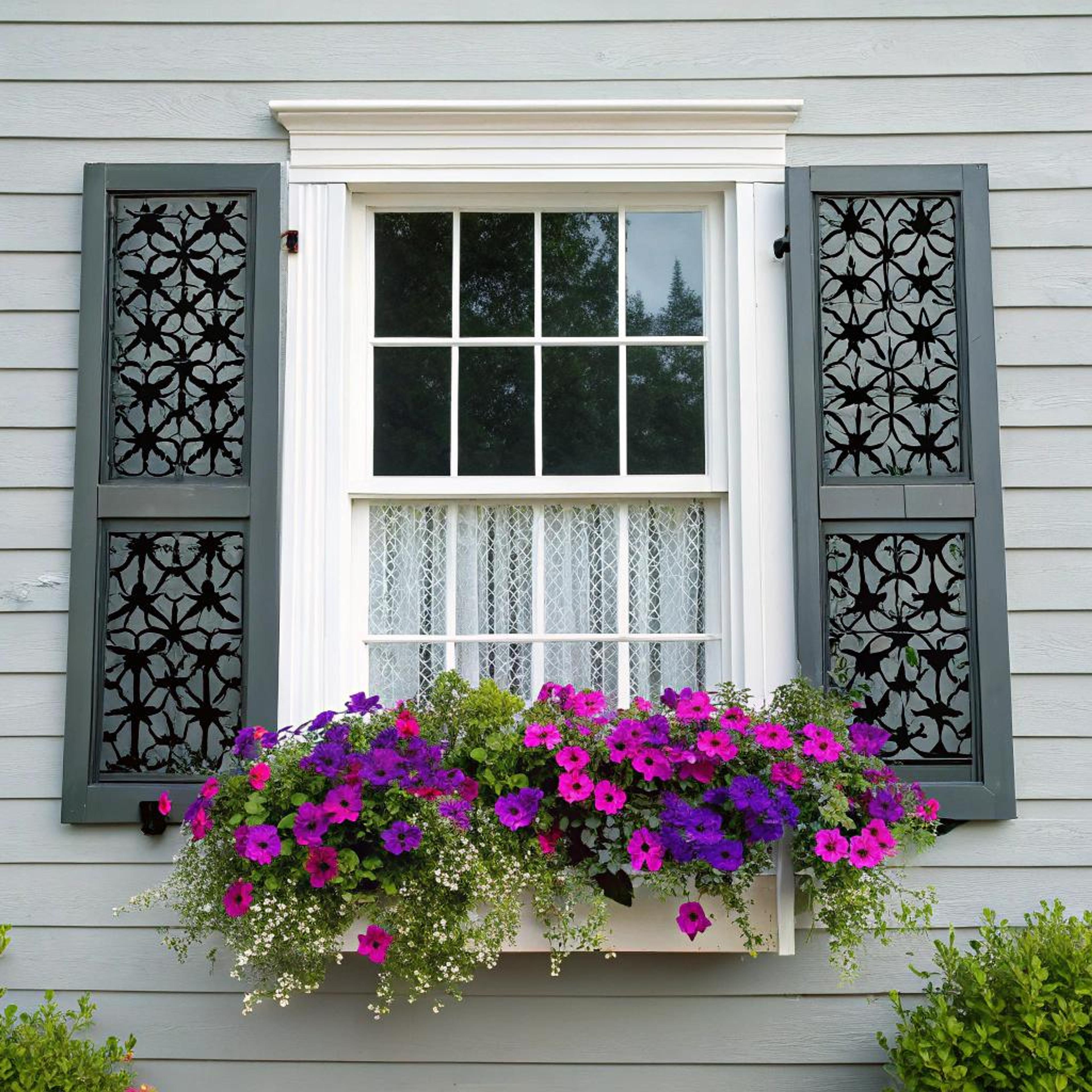 Zwart-witte shutters met bloemenpracht