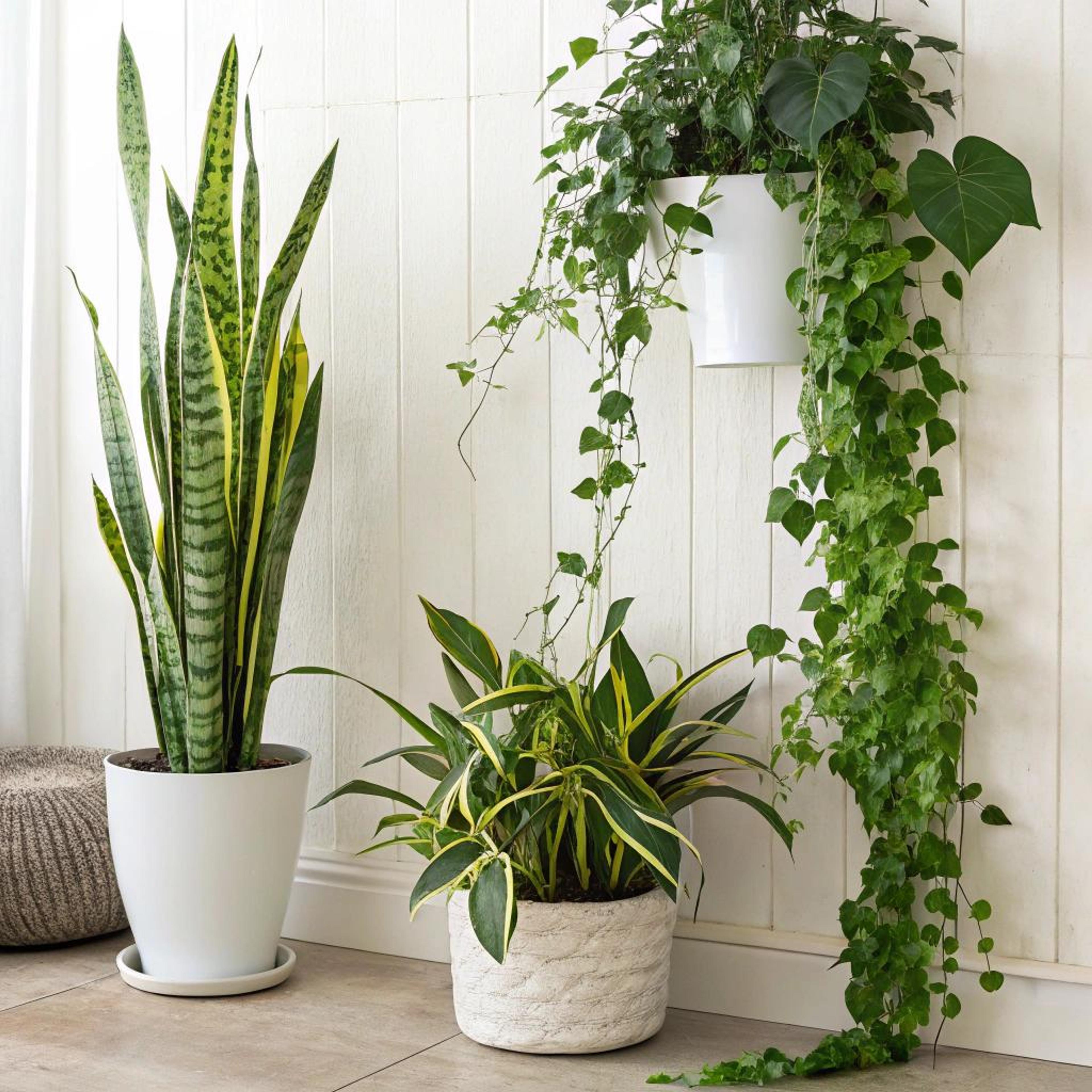 Groene lijnen naar boven