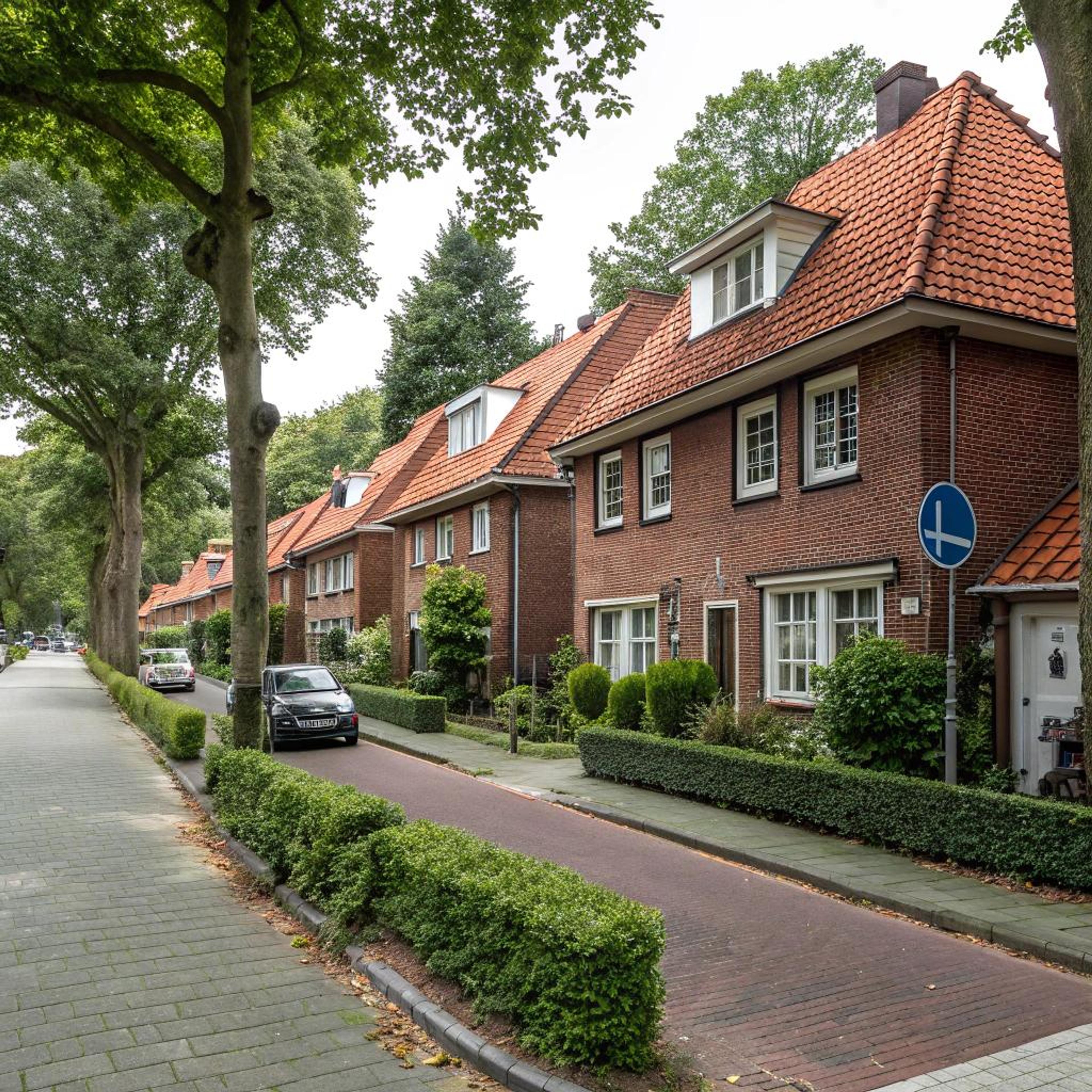 Groene hagen voor privacy