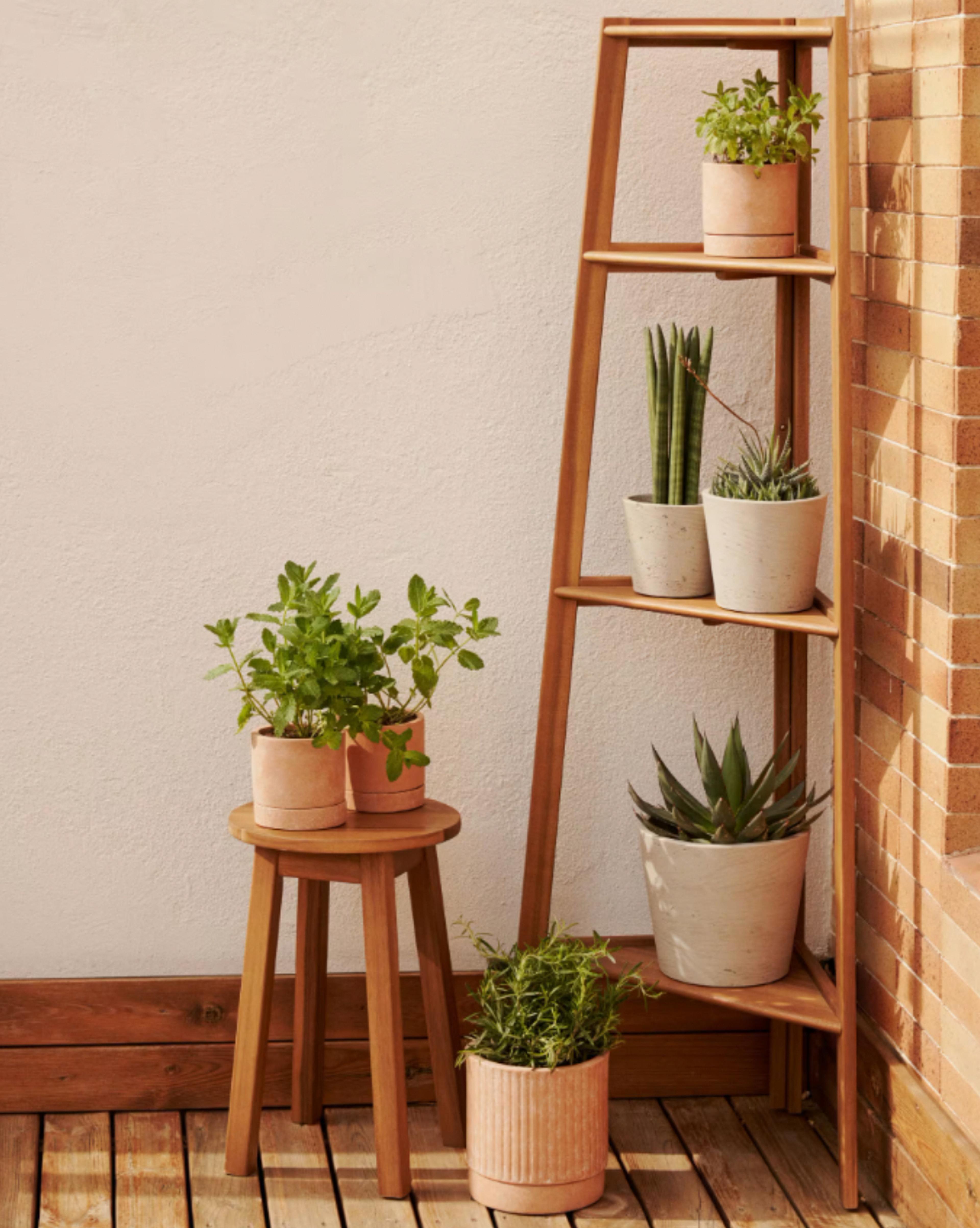 classic-plant-stand