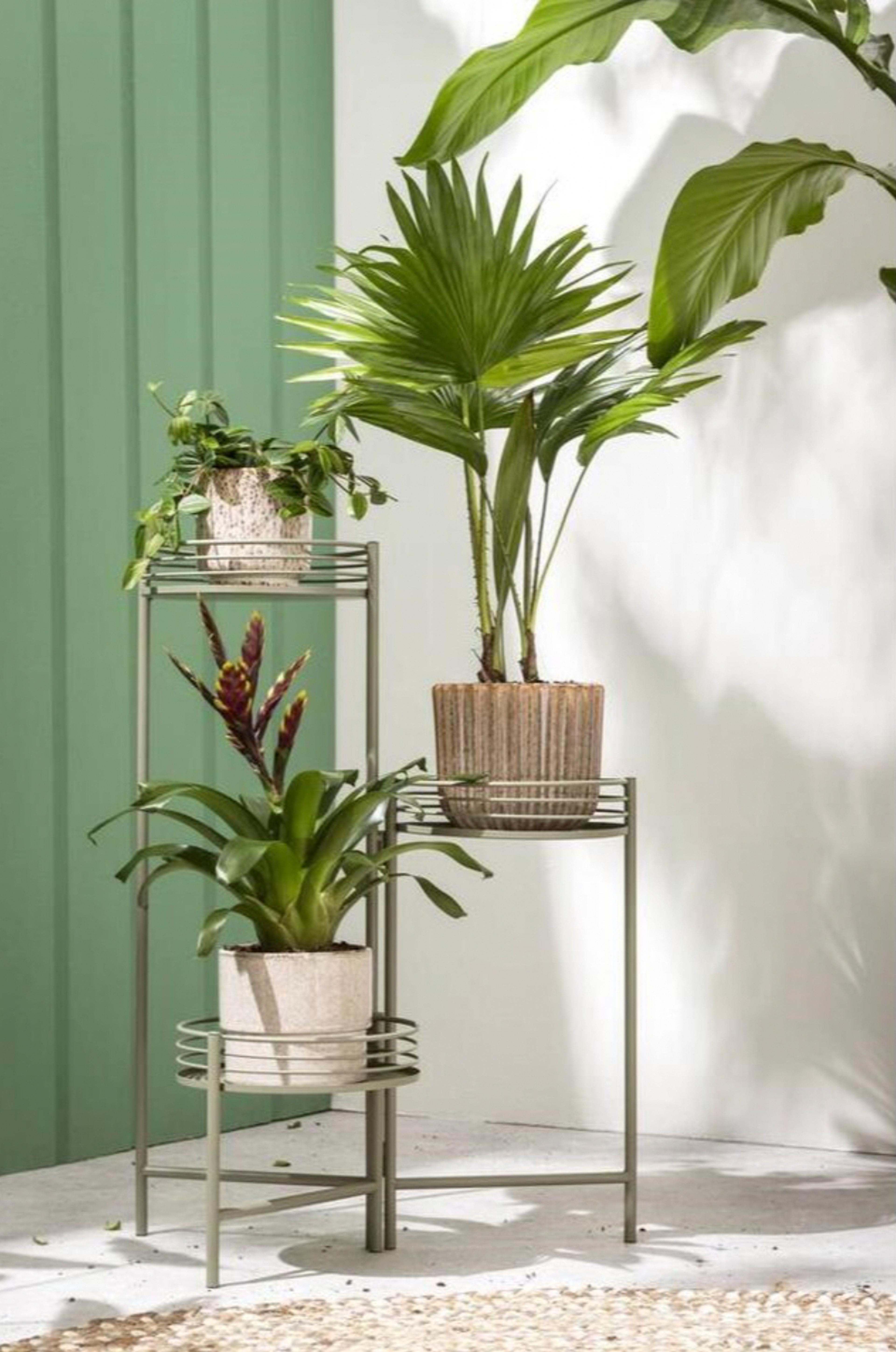 dynamic-plant-stand