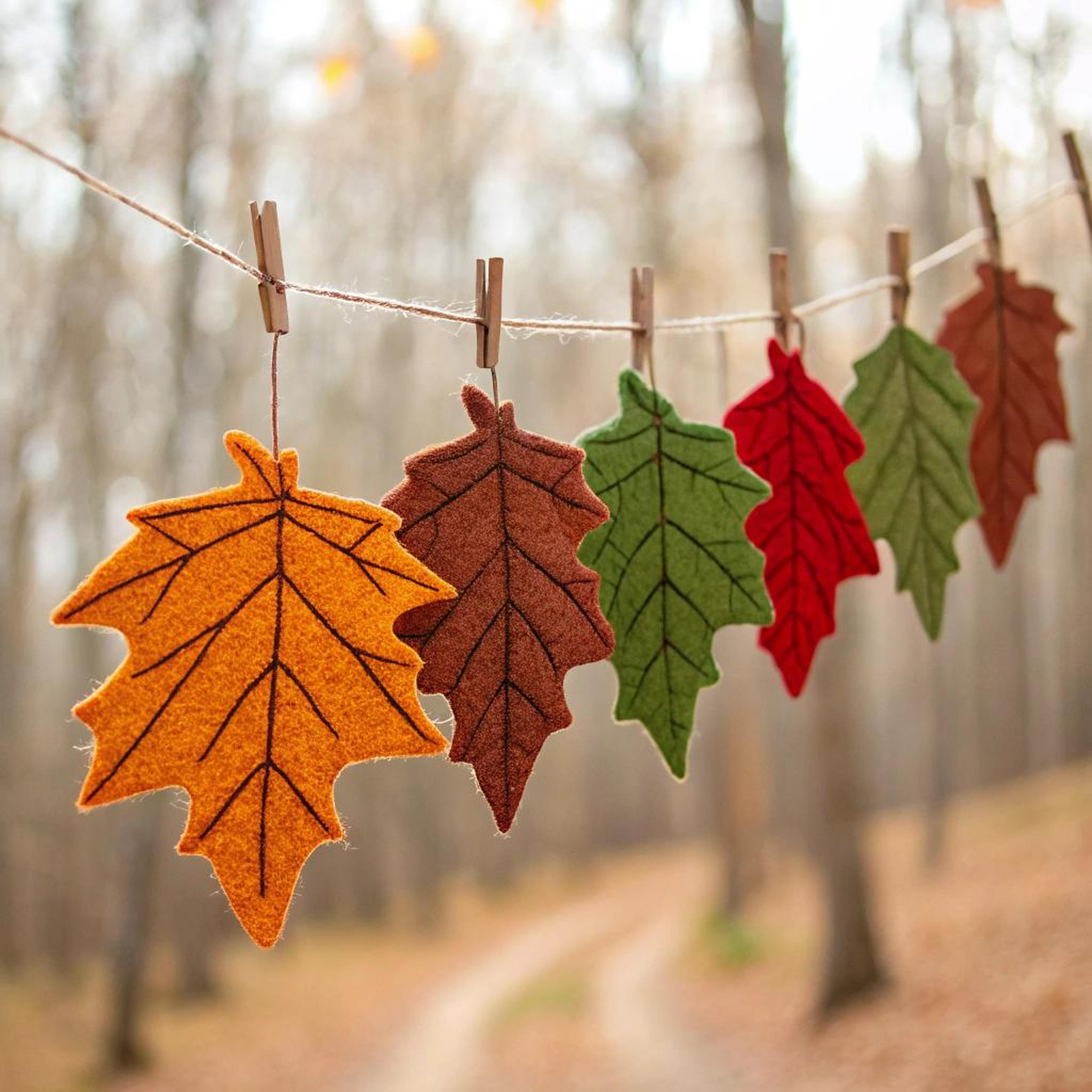 Vilten bladeren aan touw