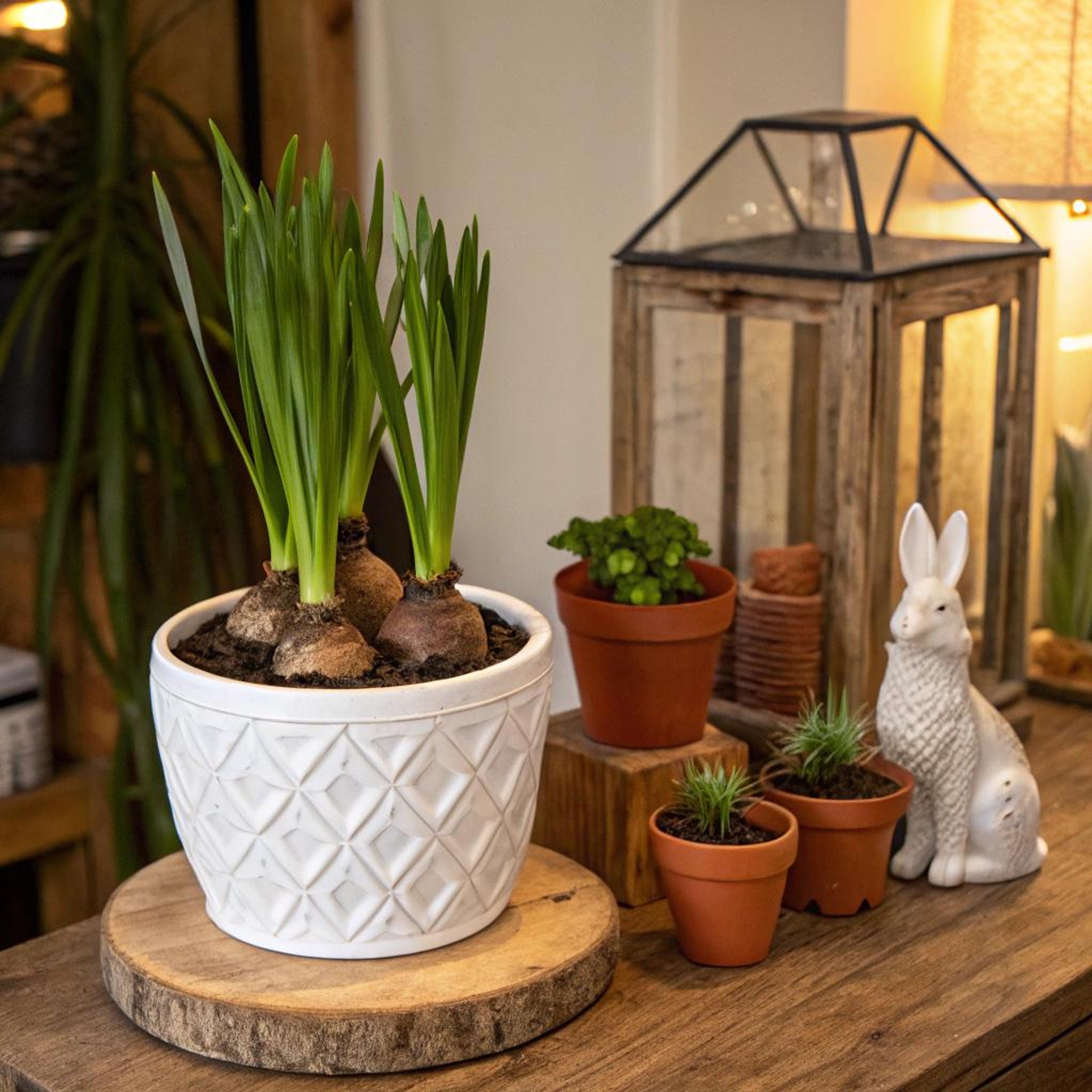 Aardse tinten en speelse details